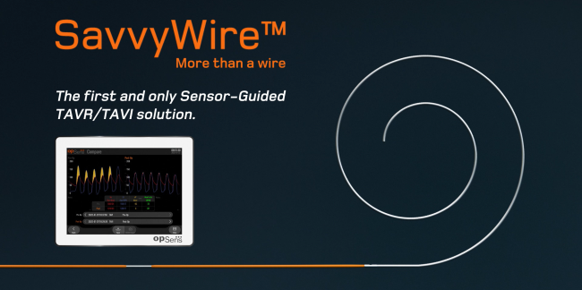 SavvyWire more than a wire